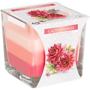 URBN Living (Cactus Flower) Layered Tri-Coloured Double Wick Scented Candle URBN Living (Cactus Flower) Layered Tri-Coloured Double Wick Scented Candle