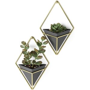 Umbra Trigg Hanging Planter Vase and Geometric Wall Decor Vessel - Great For Suc Umbra Trigg Hanging Planter Vase and Geometric Wall Decor Vessel - Great For Suc