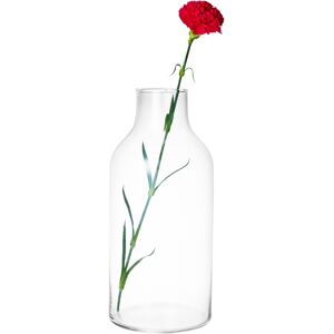 URBN Living Large Clear Glass Bottle Shaped Vases Flowers Decorative Display Items URBN Living Large Clear Glass Bottle Shaped Vases Flowers Decorative Display Items