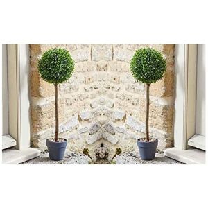 Smart Garden 2 x Uno Topiary Ball Tree 40cm Decorative Artificial Indoor Outdoor Smart Garden 2 x Uno Topiary Ball Tree 40cm Decorative Artificial Indoor Outdoor