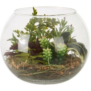 Premier Housewares Fiori Mixed Succulent In Large Glass Pot Premier Housewares Fiori Mixed Succulent In Large Glass Pot
