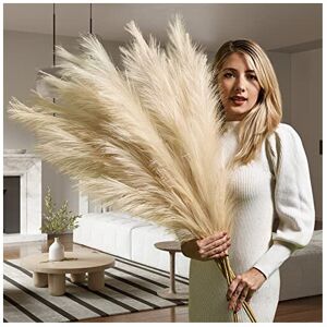 Harry's Cottage Premium Extra Large Pampas Grass Artificial- Beige Pampas Grass Decor- Faux Pamp Harry's Cottage Premium Extra Large Pampas Grass Artificial- Beige Pampas Grass Decor- Faux Pamp