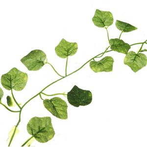 GreenZech (B) 2M Artificial Ivy Vine Foliage Flower Hanging Leaf Garland Plant Party for H GreenZech (B) 2M Artificial Ivy Vine Foliage Flower Hanging Leaf Garland Plant Party for H