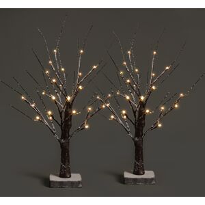 (Brown, Set of 2) NETTA 60cm Twig Birch Tree with Warm White LEDs (Brown, Set of 2) NETTA 60cm Twig Birch Tree with Warm White LEDs