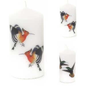 Carousel Home 14cm Birds Of Paradise Pillar Candle Ivory White Unscented Church Pillar Candl Carousel Home 14cm Birds Of Paradise Pillar Candle Ivory White Unscented Church Pillar Candl