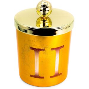 Harry Potter House Hufflepuff Premium Scented Soy Wax candle Harry Potter House Hufflepuff Premium Scented Soy Wax candle