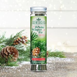 Premier Scentsicles White Winter Fir Scented Ornaments — Tube of 6 Hanging Sticks for Tr Premier Scentsicles White Winter Fir Scented Ornaments — Tube of 6 Hanging Sticks for Tr