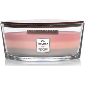 Woodwick Ellipse Scented Candle Shoreline Trilogy 16oz Up to 50 Hours Burn T Woodwick Ellipse Scented Candle Shoreline Trilogy 16oz Up to 50 Hours Burn T