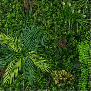 MonsterShop (Alina 100cm x 100 cm (2 Pack)) Artificial Plant Wall Tiles MonsterShop (Alina 100cm x 100 cm (2 Pack)) Artificial Plant Wall Tiles