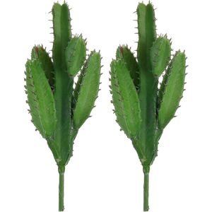 Unbranded 2 Pack Real Looking Artificial Cactus Plant Diy Material for Home Decoration Flo Unbranded 2 Pack Real Looking Artificial Cactus Plant Diy Material for Home Decoration Flo