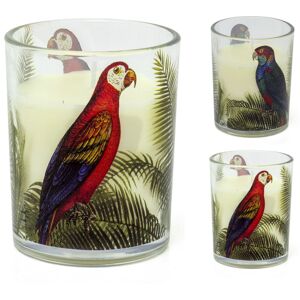 Carousel Home Parrot Palm Boxed Candle Glass Candle Holder With Scented Candle - Aroma Gift Carousel Home Parrot Palm Boxed Candle Glass Candle Holder With Scented Candle - Aroma Gift