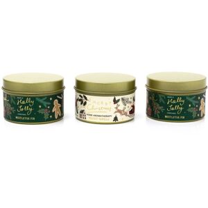 Carousel Home Set Of 3 Vanilla & Mistletoe Fir Christmas Scented Tin Candles Candle Gift Set Carousel Home Set Of 3 Vanilla & Mistletoe Fir Christmas Scented Tin Candles Candle Gift Set