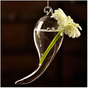 GreenZech Hanging Symbol Shape Flower Glass Vase Hydroponic Plants Container GreenZech Hanging Symbol Shape Flower Glass Vase Hydroponic Plants Container
