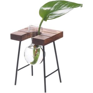 GreenZech (1) Ball Shape Glass Vase Plant Hydroponic Container Flower Bottle Table Desk De GreenZech (1) Ball Shape Glass Vase Plant Hydroponic Container Flower Bottle Table Desk De