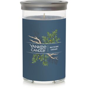 Yankee Candle Bayside Cedar Signature Medium Pillar Candle 14.25oz Yankee Candle Bayside Cedar Signature Medium Pillar Candle 14.25oz