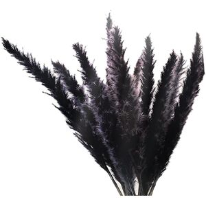 Jojomino 30Pcs Black Pampas Grass, 17 Inch Natural Dried Small Stems for Home Wedding Dec Jojomino 30Pcs Black Pampas Grass, 17 Inch Natural Dried Small Stems for Home Wedding Dec