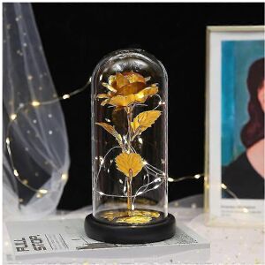 Unbranded Eternal Roses Beauty And Animal Rose Kit In Glass Dome Led Lights Artificial Flo Unbranded Eternal Roses Beauty And Animal Rose Kit In Glass Dome Led Lights Artificial Flo