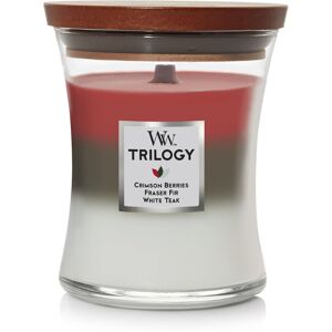 WoodWick Medium Hourglass Candle Winter Garland - Premium Soy Blend Wax Pluswi WoodWick Medium Hourglass Candle Winter Garland - Premium Soy Blend Wax Pluswi