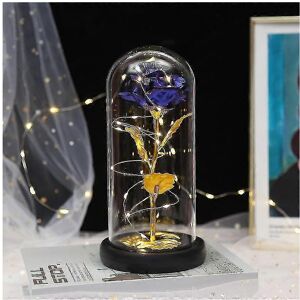 Unbranded Eternal Roses Beauty And Animal Rose Kit In Glass Dome Led Lights Artificial Flo Unbranded Eternal Roses Beauty And Animal Rose Kit In Glass Dome Led Lights Artificial Flo