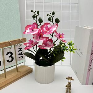 Unbranded (Deep Pink) Orchid Artificial Butterfly Plant Indoor Decor For Home Living Room Unbranded (Deep Pink) Orchid Artificial Butterfly Plant Indoor Decor For Home Living Room
