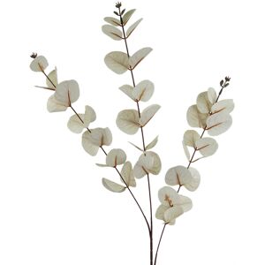 Leaf 80cm White Eucalyptus Foliage Stem Leaf 80cm White Eucalyptus Foliage Stem