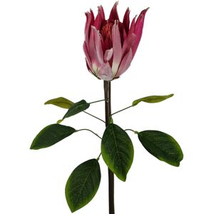Leaf 65cm Protea Sugarbush Flower Stem - Pink Leaf 65cm Protea Sugarbush Flower Stem - Pink