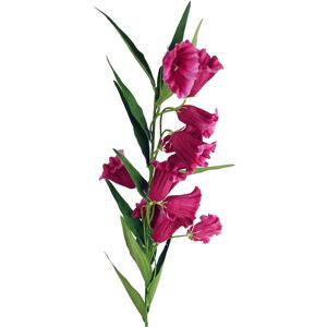 Leaf 100cm Trumpet Artificial Flower Stem Fuchsia Pink Leaf 100cm Trumpet Artificial Flower Stem Fuchsia Pink