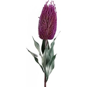 Leaf 75cm Banksia Menziesii Pink Flower Stem Artificial Leaf 75cm Banksia Menziesii Pink Flower Stem Artificial