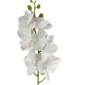 Leaf 100cm Artificial Phalaenopsis Orchid White Stem Leaf 100cm Artificial Phalaenopsis Orchid White Stem