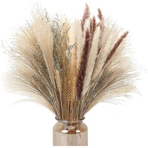 neznačkové 70 Pcs Natural Pampas Grass Decor, 17inch Dried Pampas Grass Decor neznačkové 70 Pcs Natural Pampas Grass Decor, 17inch Dried Pampas Grass Decor