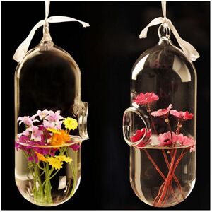 GreenZech Hydroponic Plants Flower Pill Shape Hanging Glass Vase Home Decor GreenZech Hydroponic Plants Flower Pill Shape Hanging Glass Vase Home Decor