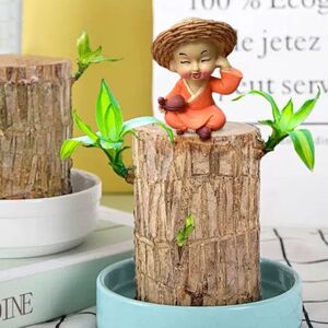 Unbranded (B) Brazilian Wood Potted Plant Decoration For Home Office Decoration Unbranded (B) Brazilian Wood Potted Plant Decoration For Home Office Decoration