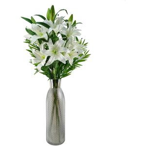 Leaf 100cm White Lily and Fern Display Glass Vase Leaf 100cm White Lily and Fern Display Glass Vase