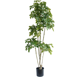 Leaf 180cm Radermachera Realistic Artificial Tree Leaf 180cm Radermachera Realistic Artificial Tree