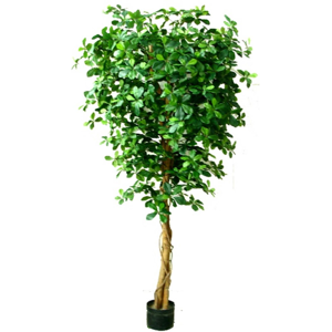 Leaf 180cm Fire Retardant Black Olive Tree with 2925 Leaves and Natural Trunk Leaf 180cm Fire Retardant Black Olive Tree with 2925 Leaves and Natural Trunk