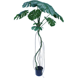 Leaf 180cm Monstera Realistic Artificial Tree Green Leaf 180cm Monstera Realistic Artificial Tree Green