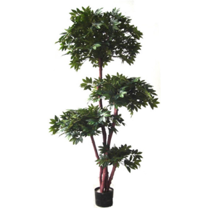 Leaf 180cm Fire Retardant Lychee Ball Tree with 3774 Leaves and Natural Trunk Leaf 180cm Fire Retardant Lychee Ball Tree with 3774 Leaves and Natural Trunk
