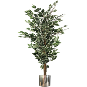 Leaf 130cm Variegated White/Green Bushy Ficus Tree Silver Metal Planter Leaf 130cm Variegated White/Green Bushy Ficus Tree Silver Metal Planter