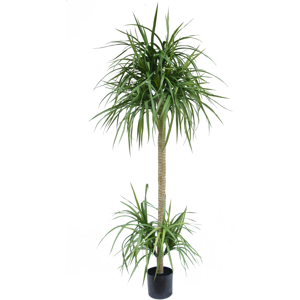 Leaf 180cm Dracaena Realistic Artificial Tree Leaf 180cm Dracaena Realistic Artificial Tree