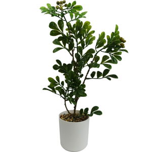 Leaf 45cm Artificial Aglaia Odorata Bonsai Ficus Tree Leaf 45cm Artificial Aglaia Odorata Bonsai Ficus Tree