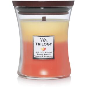 WoodWick Medium Hourglass Candle Tropical Sunrise Premium Soy Blend Wax Pluswick WoodWick Medium Hourglass Candle Tropical Sunrise Premium Soy Blend Wax Pluswick