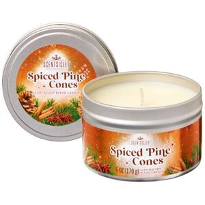 Premier - Scentsicles Candle 25hr - Spiced Pine Cone 8cm Premier - Scentsicles Candle 25hr - Spiced Pine Cone 8cm
