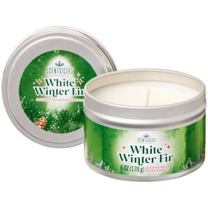 Premier - Scentsicles Candle 25hr - Winter Fir 8cm Premier - Scentsicles Candle 25hr - Winter Fir 8cm
