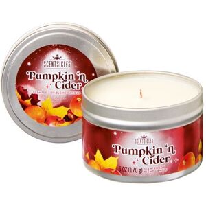 Premier - Scentsicles Candle 25hr - Pumpkin & Cider 8cm Premier - Scentsicles Candle 25hr - Pumpkin & Cider 8cm