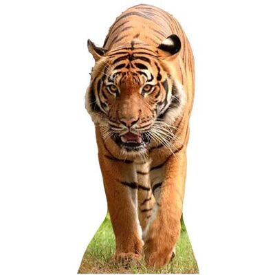 Iconicgreats Tiger Lifesize Cardboard Cutout - Party Standup Iconicgreats Tiger Lifesize Cardboard Cutout - Party Standup
