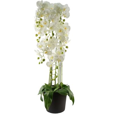 Leaf 110cm Large White Orchid Plant Artifcial 41 REAL TOUCH flowers Leaf 110cm Large White Orchid Plant Artifcial 41 REAL TOUCH flowers