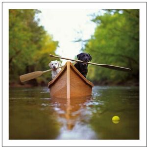 Woodmansterne Blank / Birthday Greeting Card - Labradors In A Boat (9776) Woodmansterne Blank / Birthday Greeting Card - Labradors In A Boat (9776)