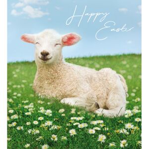 Woodmansterne Pack of 5 Spring Lamb Happy Easter Greetings Cards In Same Mini Card Design Woodmansterne Pack of 5 Spring Lamb Happy Easter Greetings Cards In Same Mini Card Design