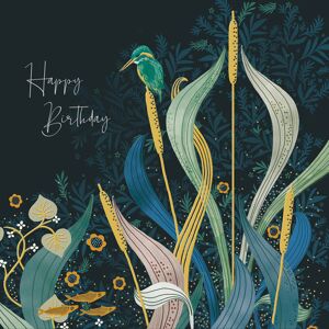 National Trust Kingfisher Foiled Birthday Greeting Card Woodmansterne Cards National Trust Kingfisher Foiled Birthday Greeting Card Woodmansterne Cards