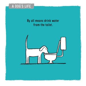 A Dog's Life Drink Water From The Toilet Greeting Card Woodmansterne Cards A Dog's Life Drink Water From The Toilet Greeting Card Woodmansterne Cards